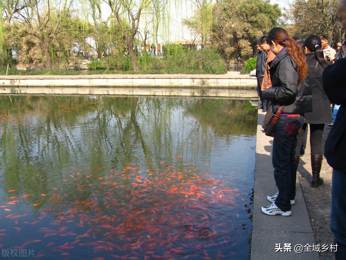 西湖十景是哪十景，杭州西湖主要景点介绍资料