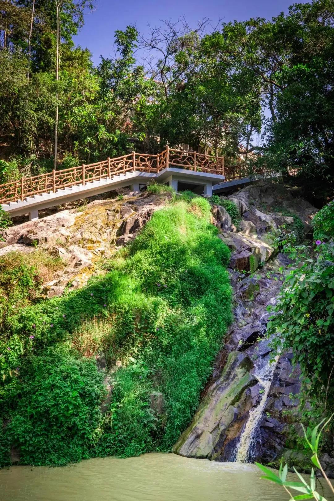 大沙河湿地公园(大沙河湿地公园图片)-世界十大之最