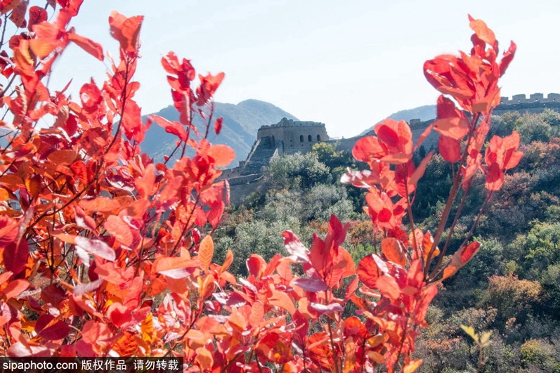 北京旅游点有哪些景点(中国旅游点有哪些景点)