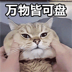 德勤审计现场简直太太太太太太太秀了！