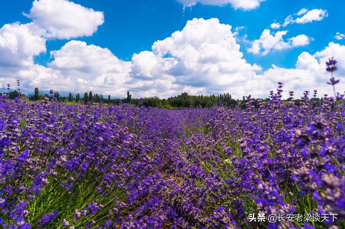 新疆景区景点大全