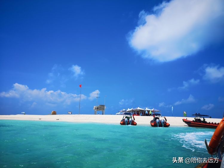 西沙~南海中的一片莲