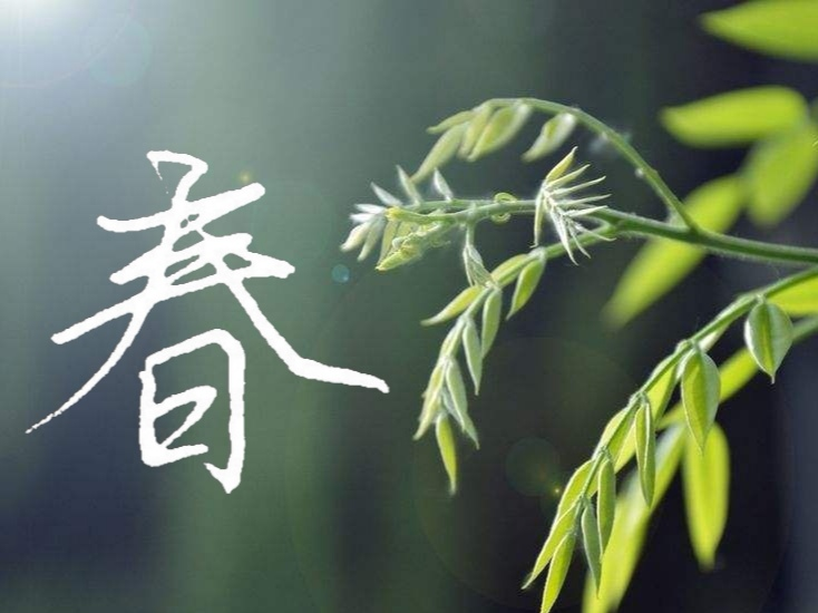 春又将逝，万紫千红将成为过去，如诗如画的日子，终将成为记忆