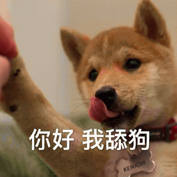 狗子便秘会怎么表现应该怎么处理?