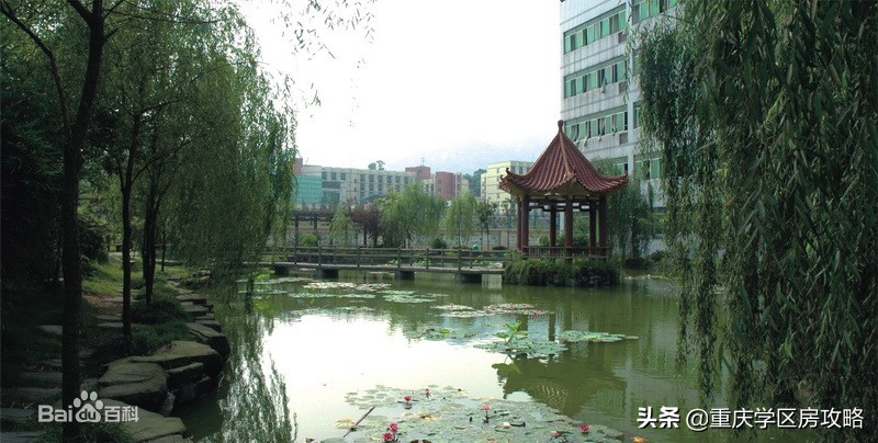 南岸区优质初中（上）