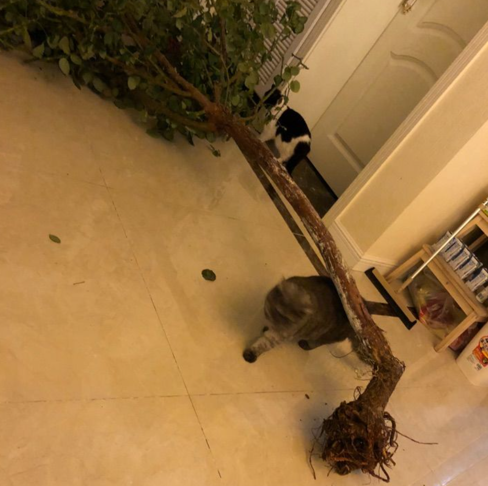 这篇推送尺度太大了，能发吗？（备稿）