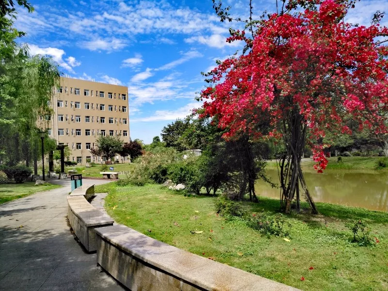 全国第一所文化产业高职院校，素有文产类“黄埔军校”美誉