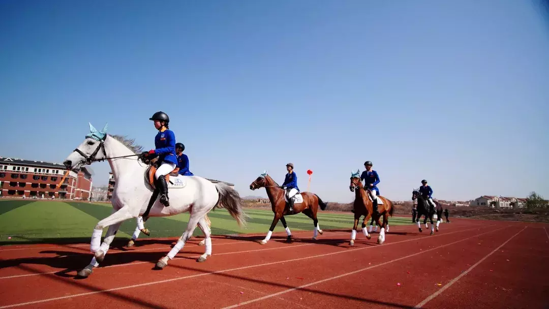 在潍坊枫叶国际学校，您的孩子将这样长大