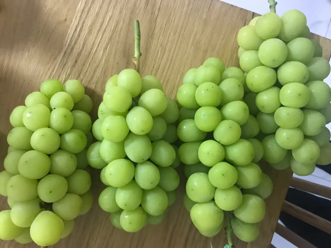 阿明的新葡萄园2018年开建,今年有幸收到了他寄来的4串阳光玫瑰.