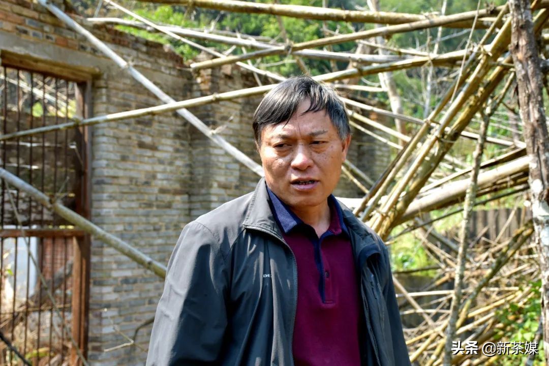 南糯山制茶厂，一部现代茶人的穿越史