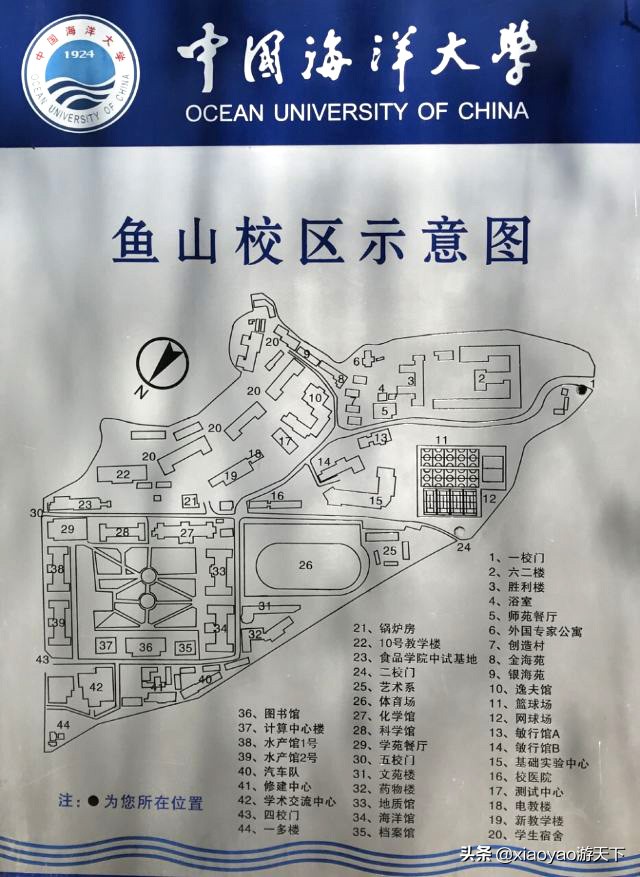 中国海洋大学哪个校区漂亮(中国海洋大学哪个是主校区)
