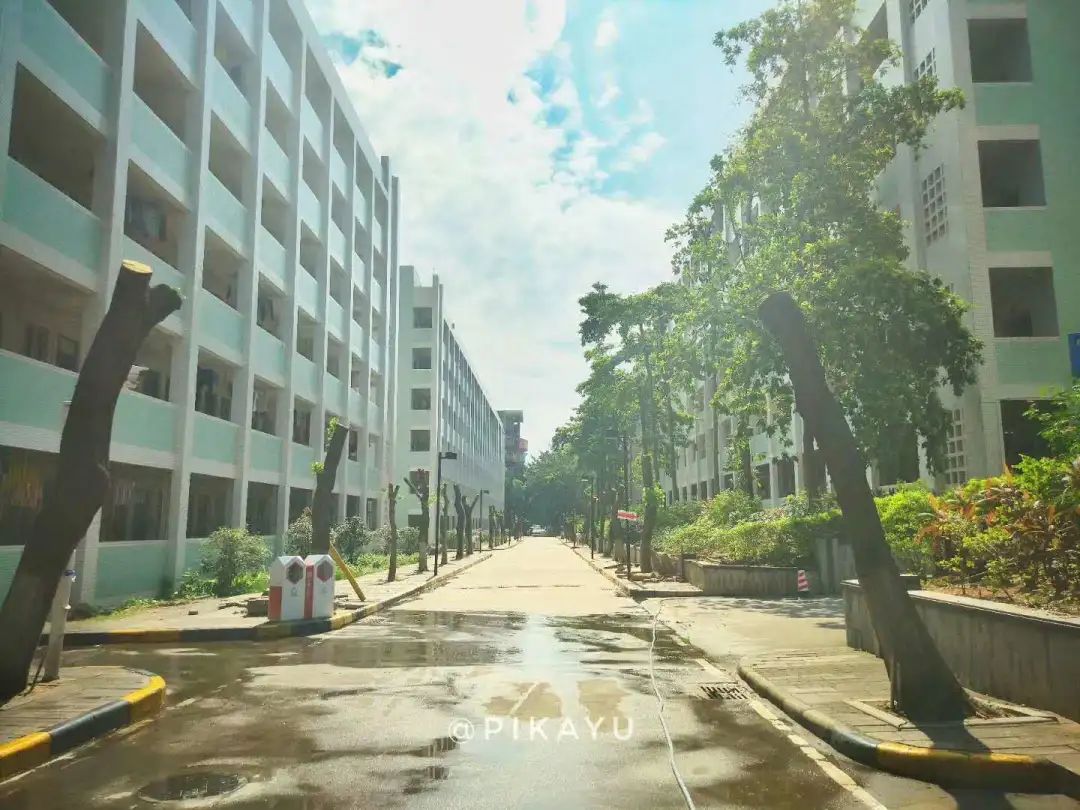 广东这所大学有广州、清远两校区。虽然是民办，但是环境超美