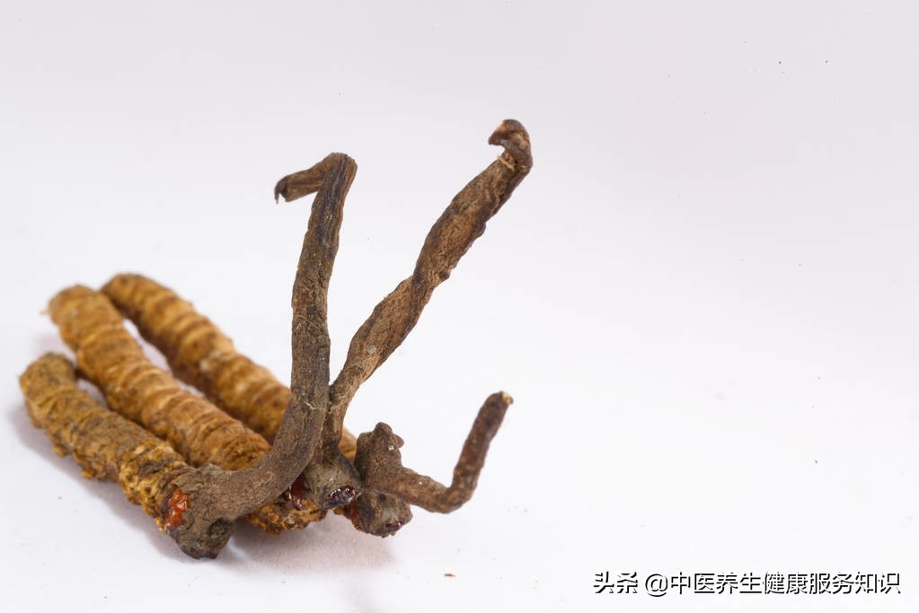 冬蟲夏草的功效（“冬蟲夏草”的功效及其應(yīng)用）