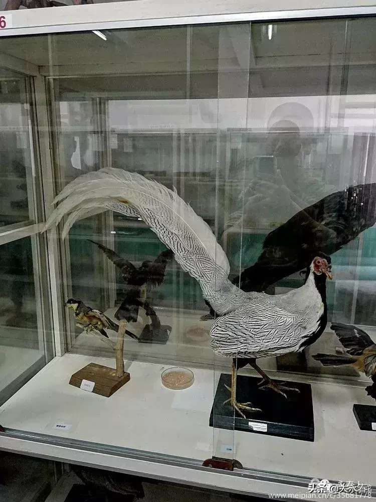 美哉！我们的永春三中