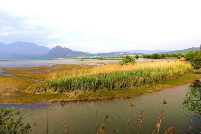 丽江拉市海，骑马走茶马古道，赏鸟走观湖长廊