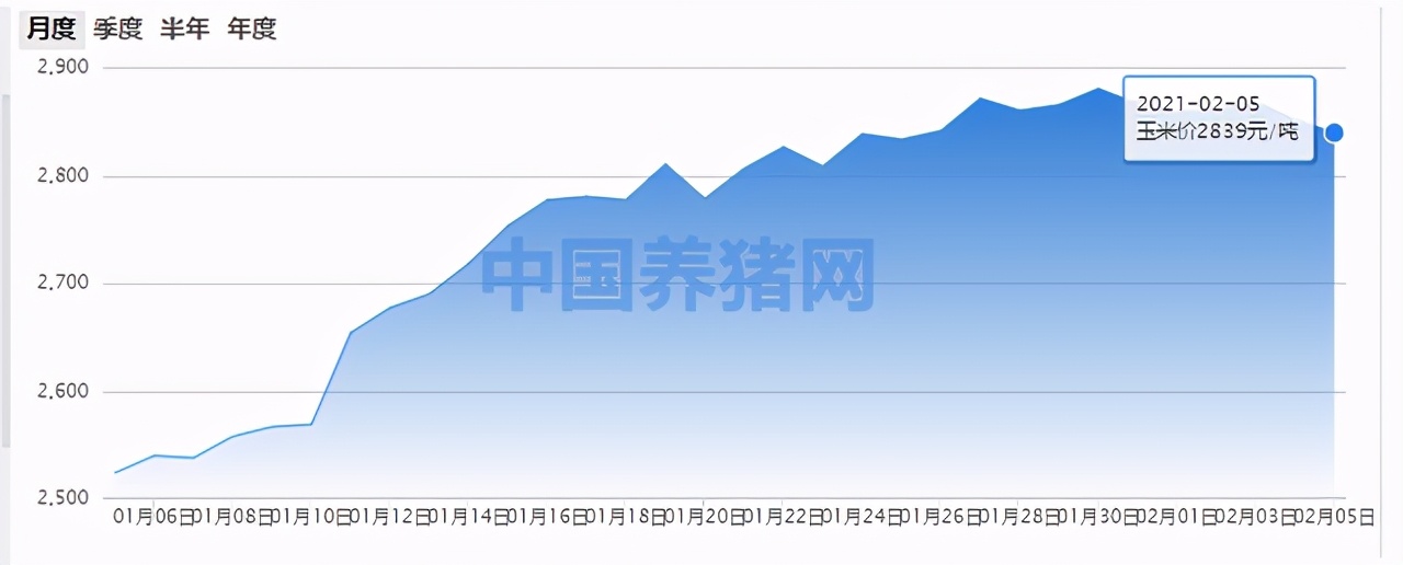 玉米大豆大涨50%，均破历史新高，“争地”不休，年后该种啥？