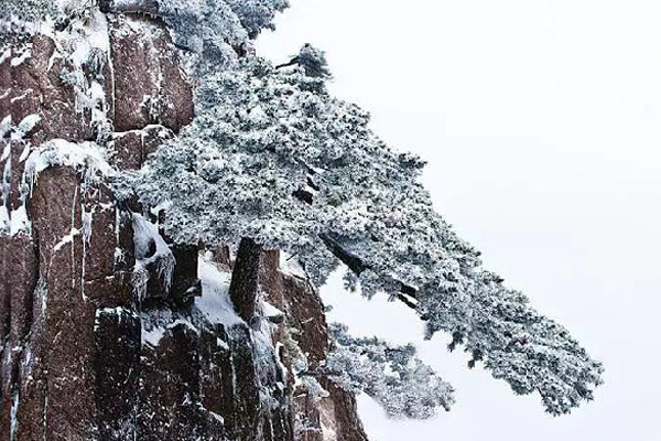 蜀道难难于上青天（蜀道难难于上青天的意思）-第3张图片-巴山号