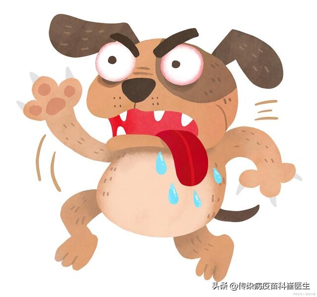 打完狂犬疫苗后再次被咬伤如何处理