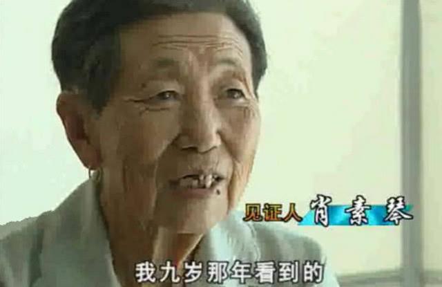 真龙降临东北轰动全国，老人意外得到5块龙骨，专家化验揭开真相