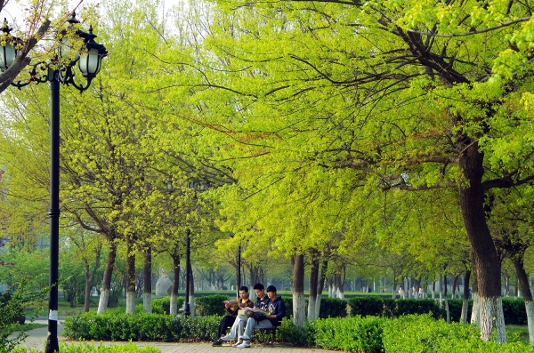 山东这所工科大学实力和发展还不错 录取分数较低的考生可以考虑