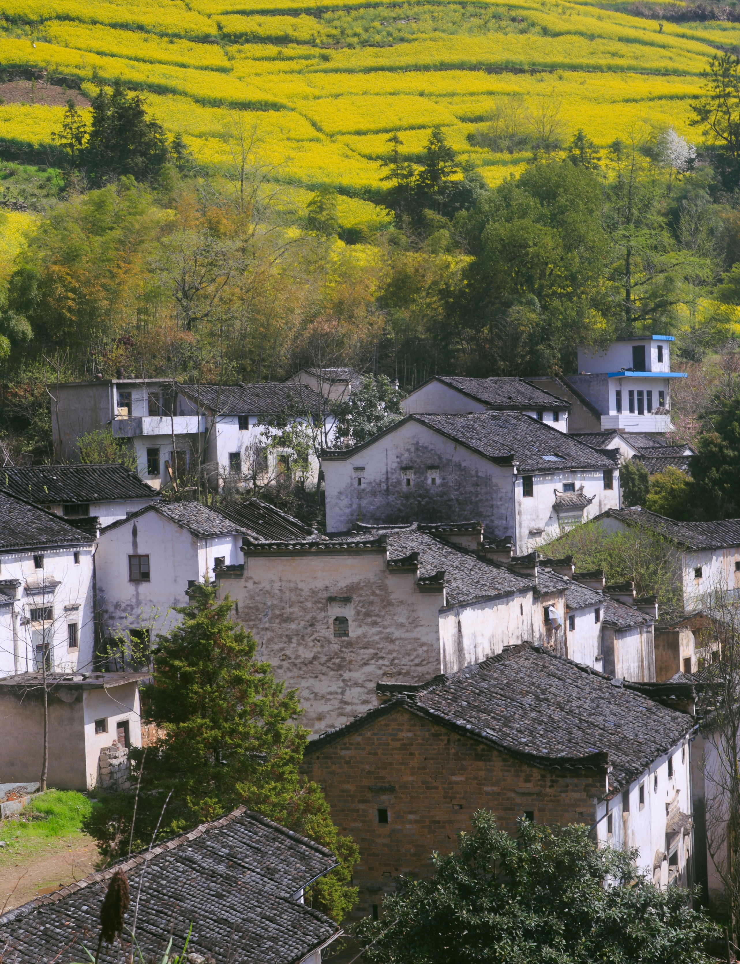 南方干栏式建筑主要分布在什么地区-生活知识库-动动脑