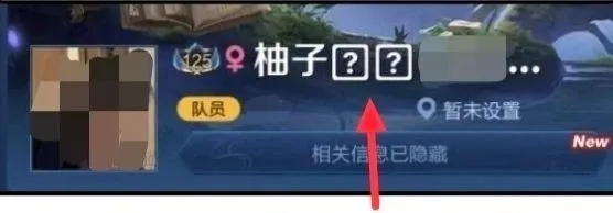 2021王者荣耀最新空白代码