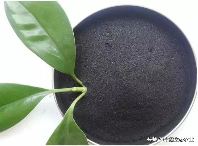腐植酸，就是这么牛！如何挑选优质的腐植酸肥料