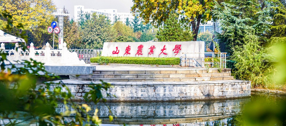 山东本科高校地理分布：共70所院校，济南、青岛双城就超过一半