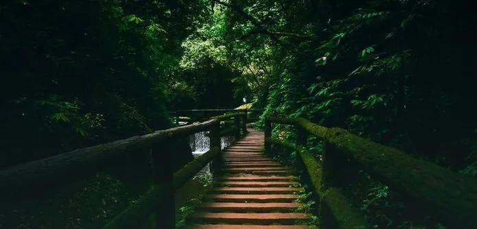 青山绿水，问道青城山