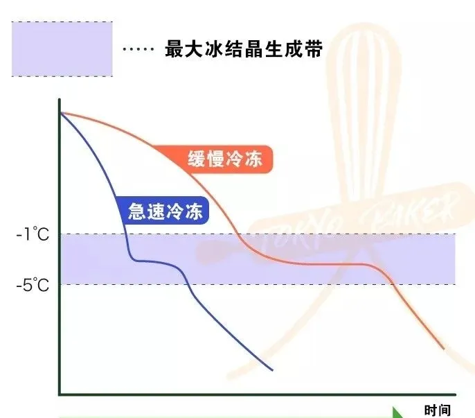 面包知识丨史上最全酵母全攻略！看这篇文章就够了