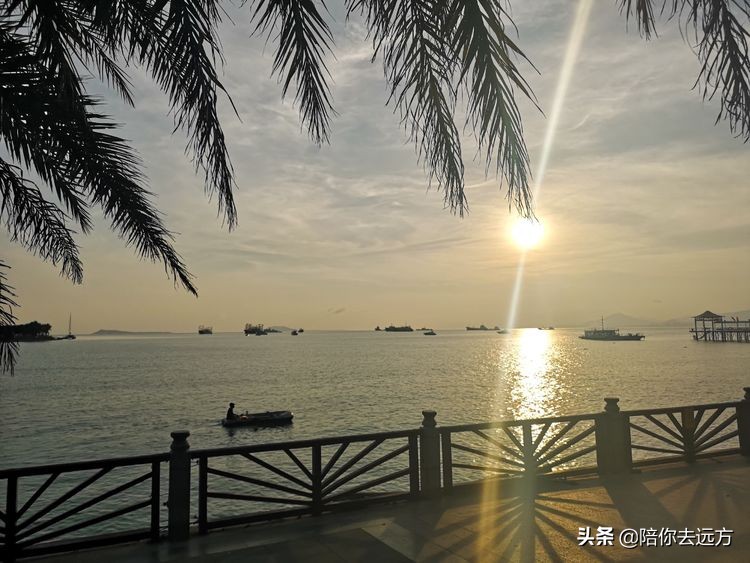 西沙~南海中的一片莲