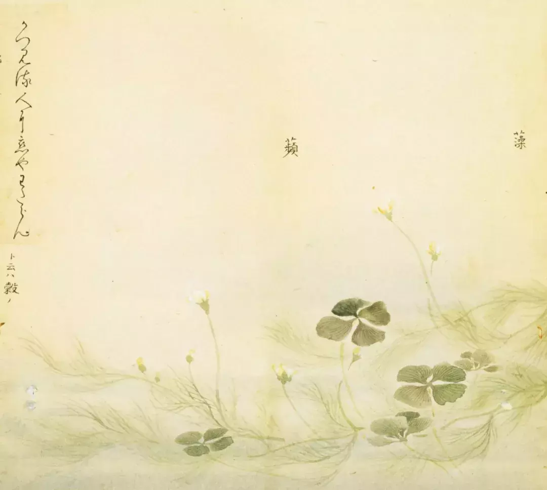 阅读的艺术 | 一生熟读几本书…