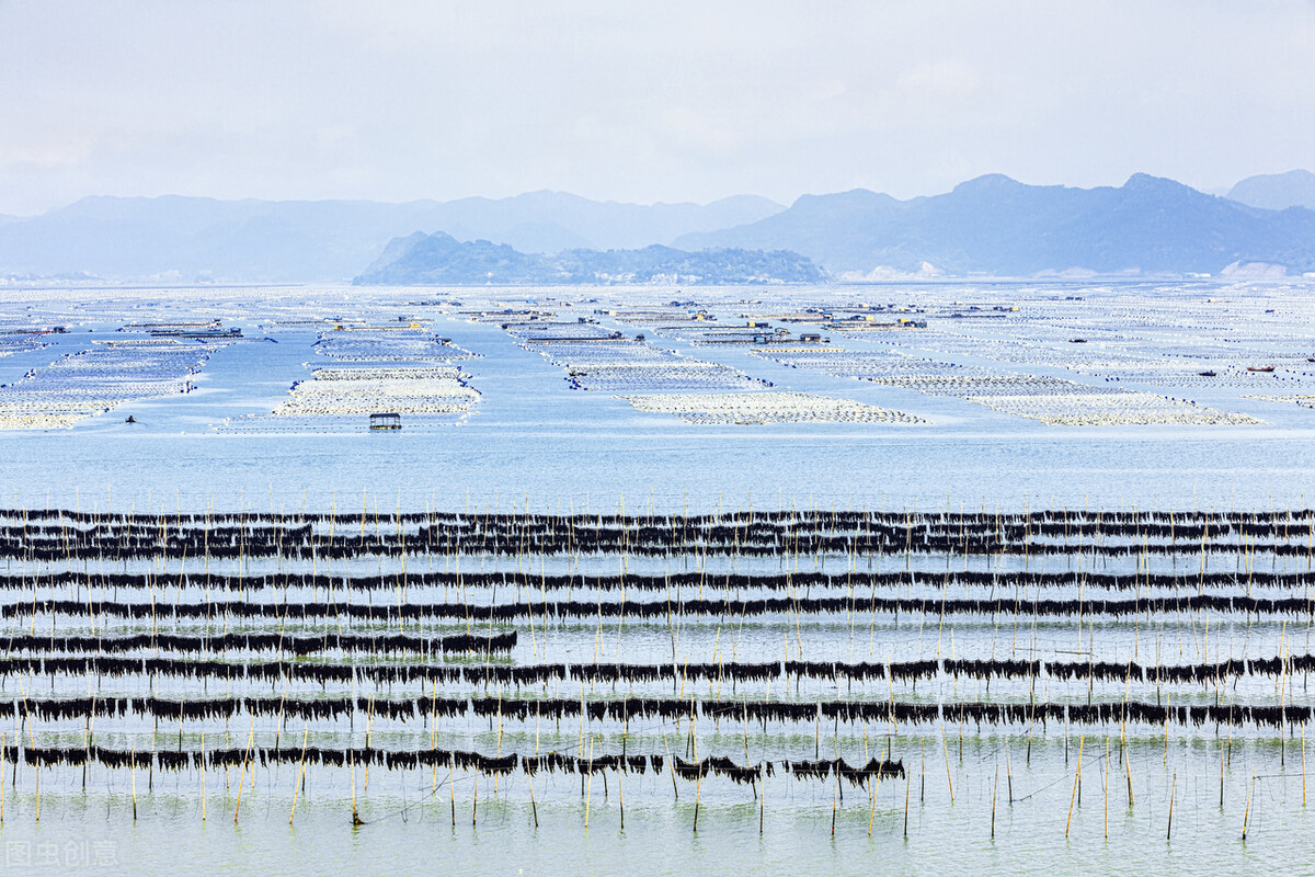 大力发展海洋低碳技术、实现海洋负排放