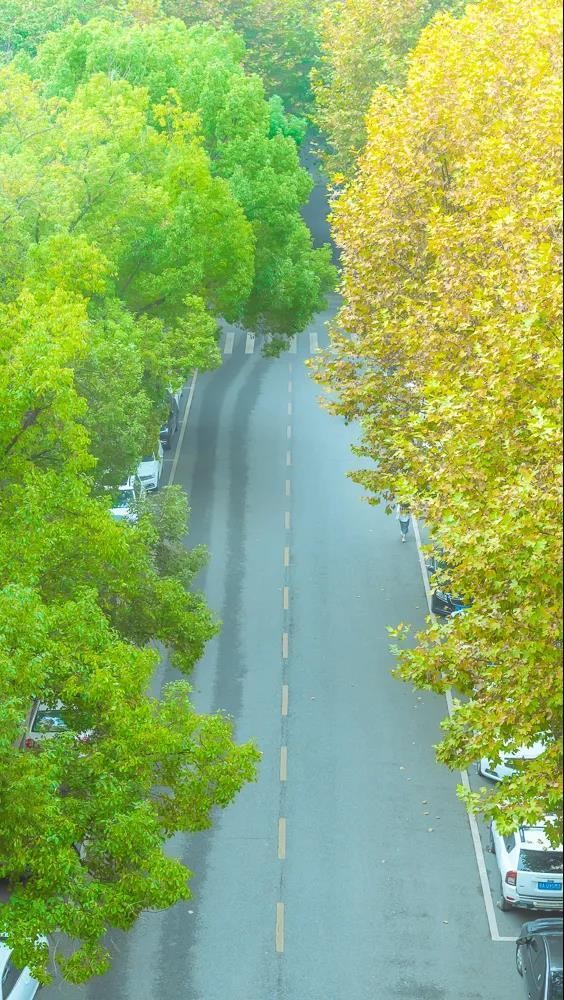 湖北“超牛”高校：坐拥百年底蕴，1个学科全国第一，成果频获世界关注！