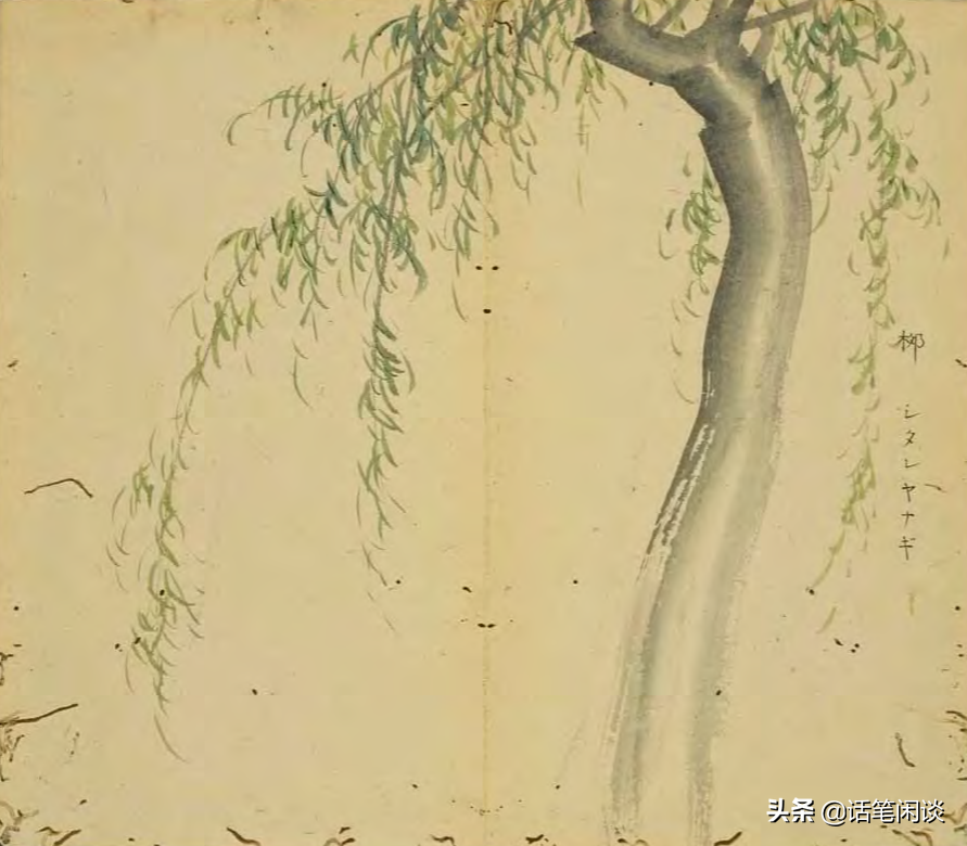 日本学者用心为《诗经》编了数百种图解，万物有灵，又美又细腻