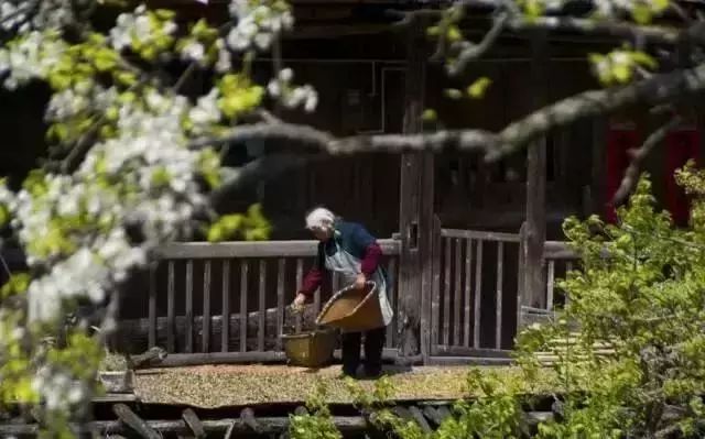 浙江龙泉10处最美古村落，寻访宝剑青瓷故里的静谧风景