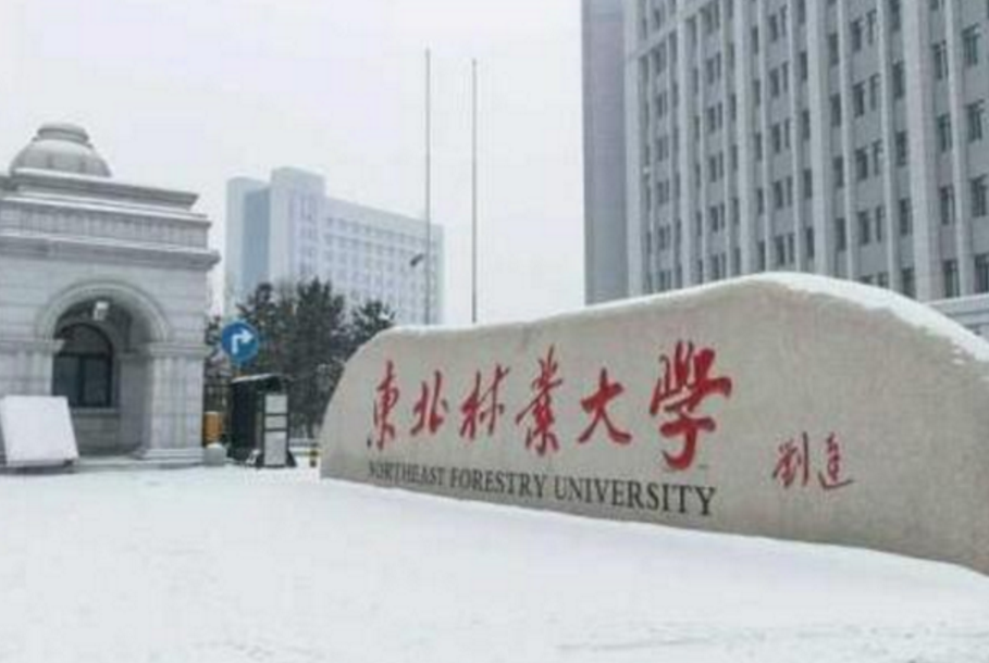 新一轮“双一流评选”初见苗头，山西大学成大黑马，燕大马失前蹄