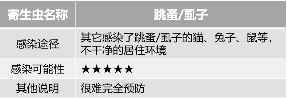 认真研究了猫的寄生虫和驱虫药后，我总结出性价比最高的驱虫方法