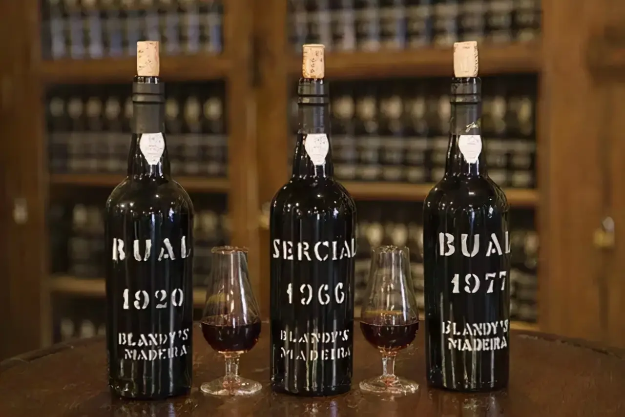 红酒如何醒酒才好喝（葡萄酒醒酒的正确方法）