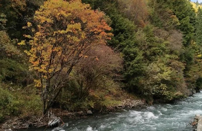 温泉＋初雪，来川内这6个地方邂逅冬季小确幸