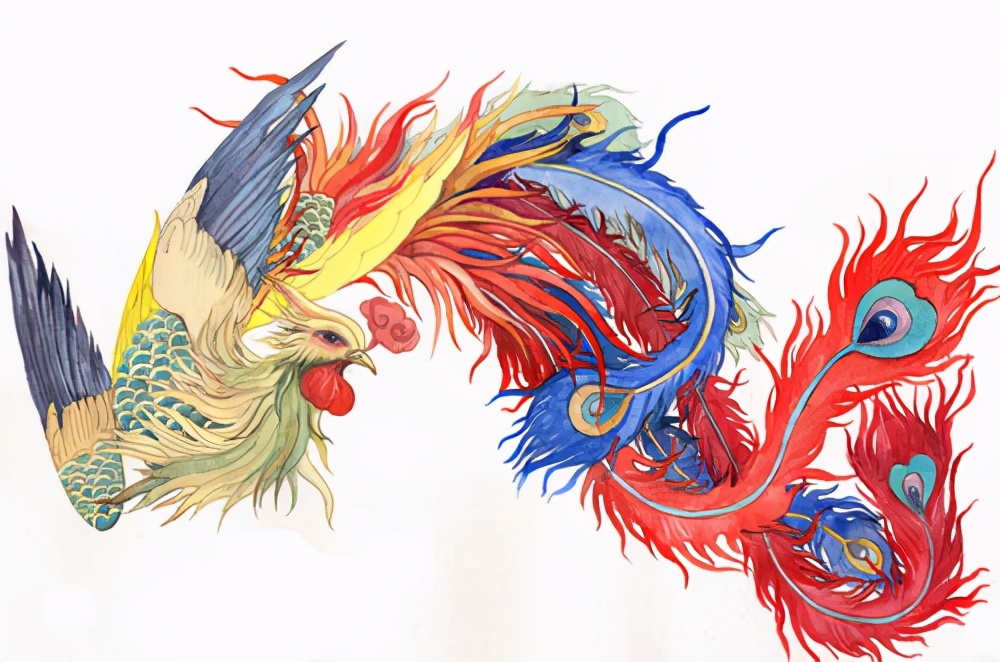 哪九雏?华夏儿女要了解