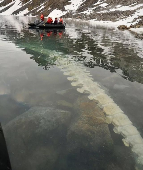 23个你可能没有见过的事物，怪异构造的四人跷跷板