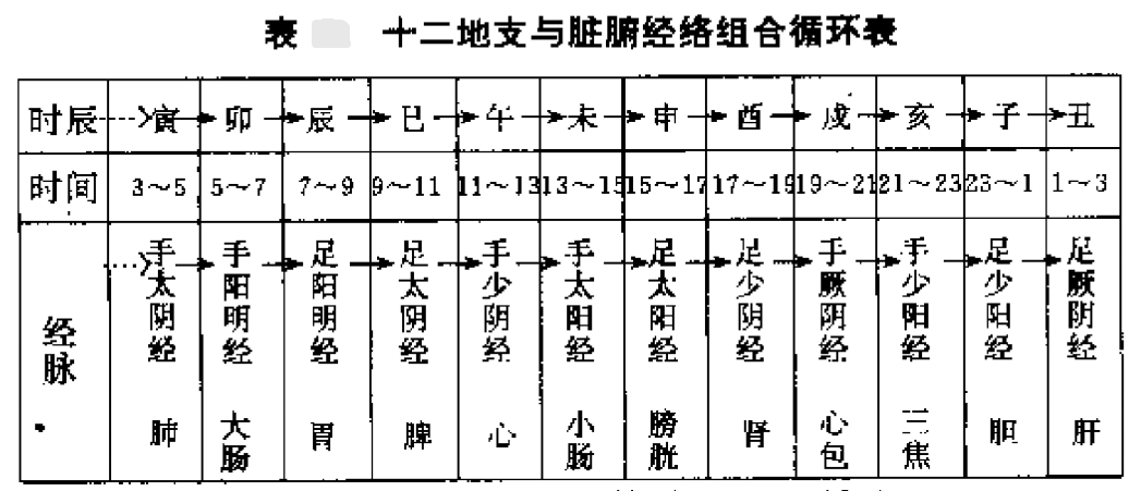 一文搞懂“天干地支”是如何配属脏腑经络的