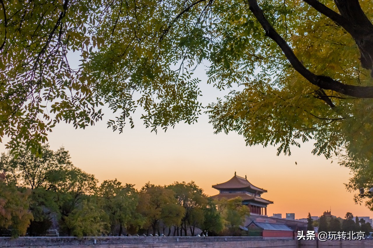 北京最美秋天,这样逛故宫周边,免预约不花钱人少景美