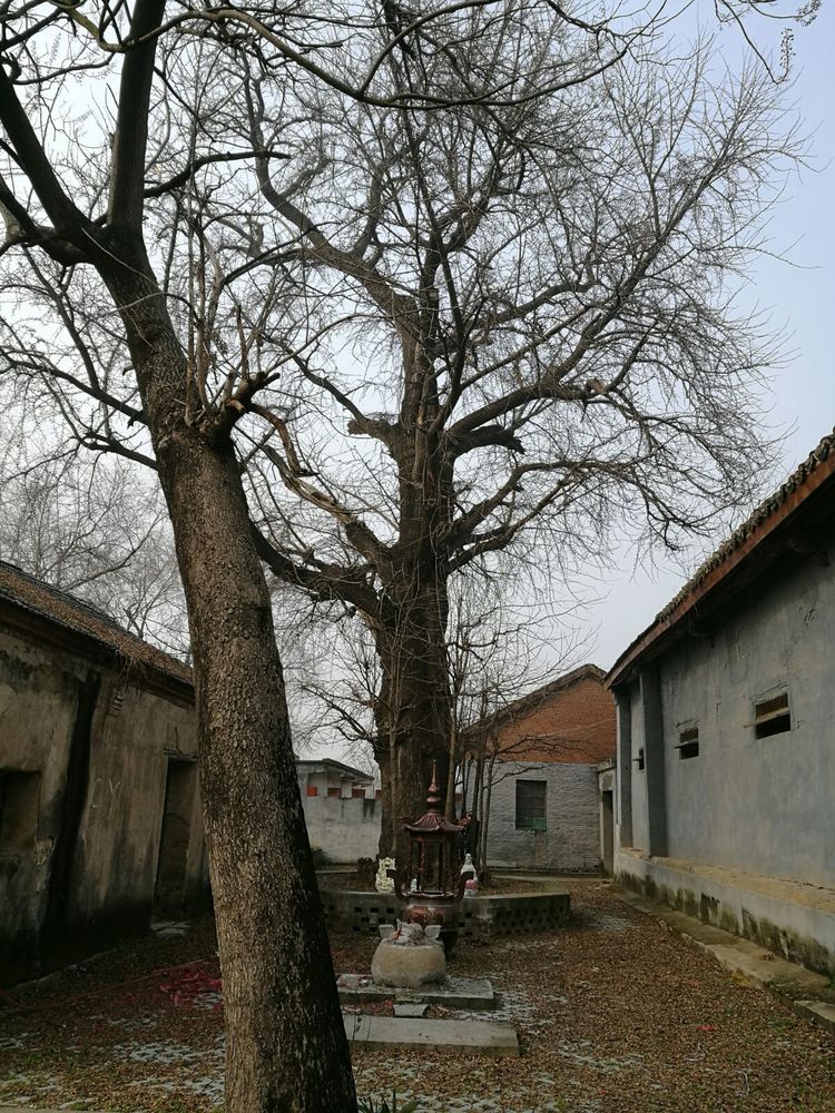 安徽六安最美10大古村古镇，皖西之地人文古韵悠远流长