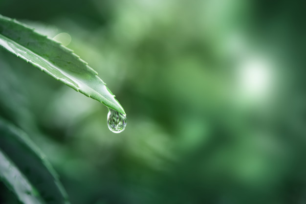 谈钱伤感情这句话，真的能看清一个人的本性