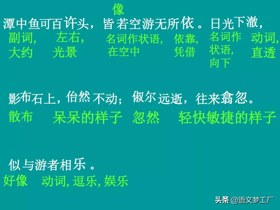 初中语文读讲练：八下三单元《小石潭记》