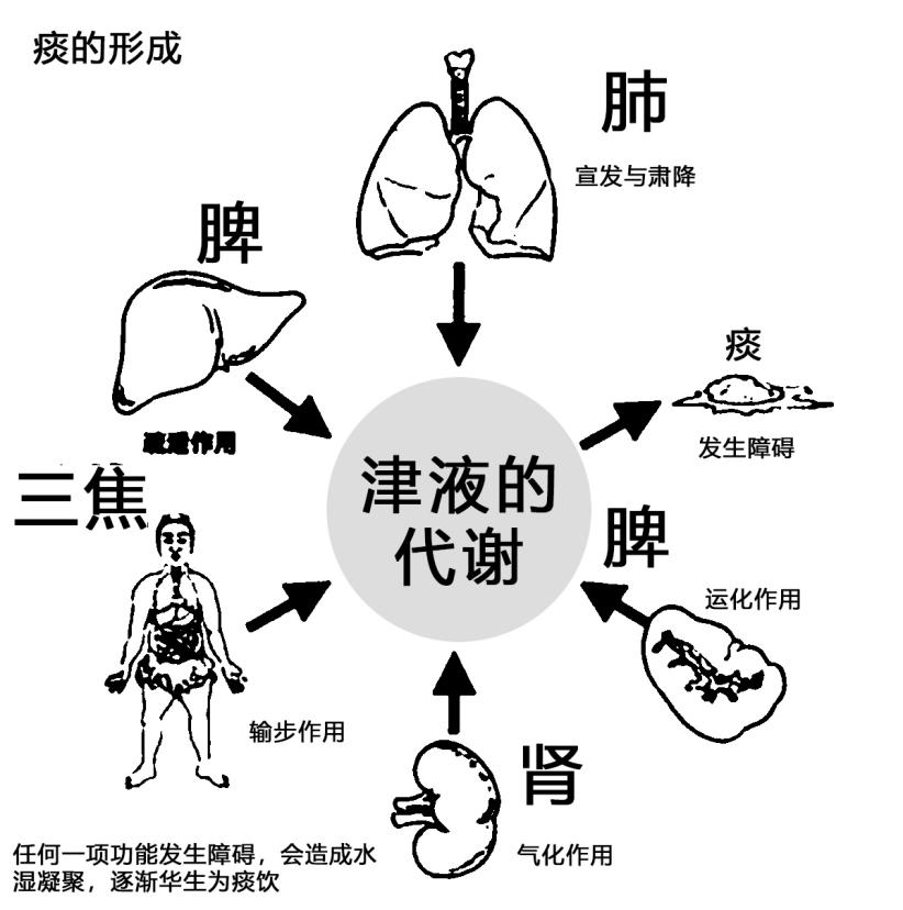 喉咙有异物感？咳不出又咽不下，多因痰气凝滞于咽！应该怎么办？