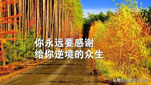 励志语录:只有经历过地狱般的折磨,才有征服天堂的力量