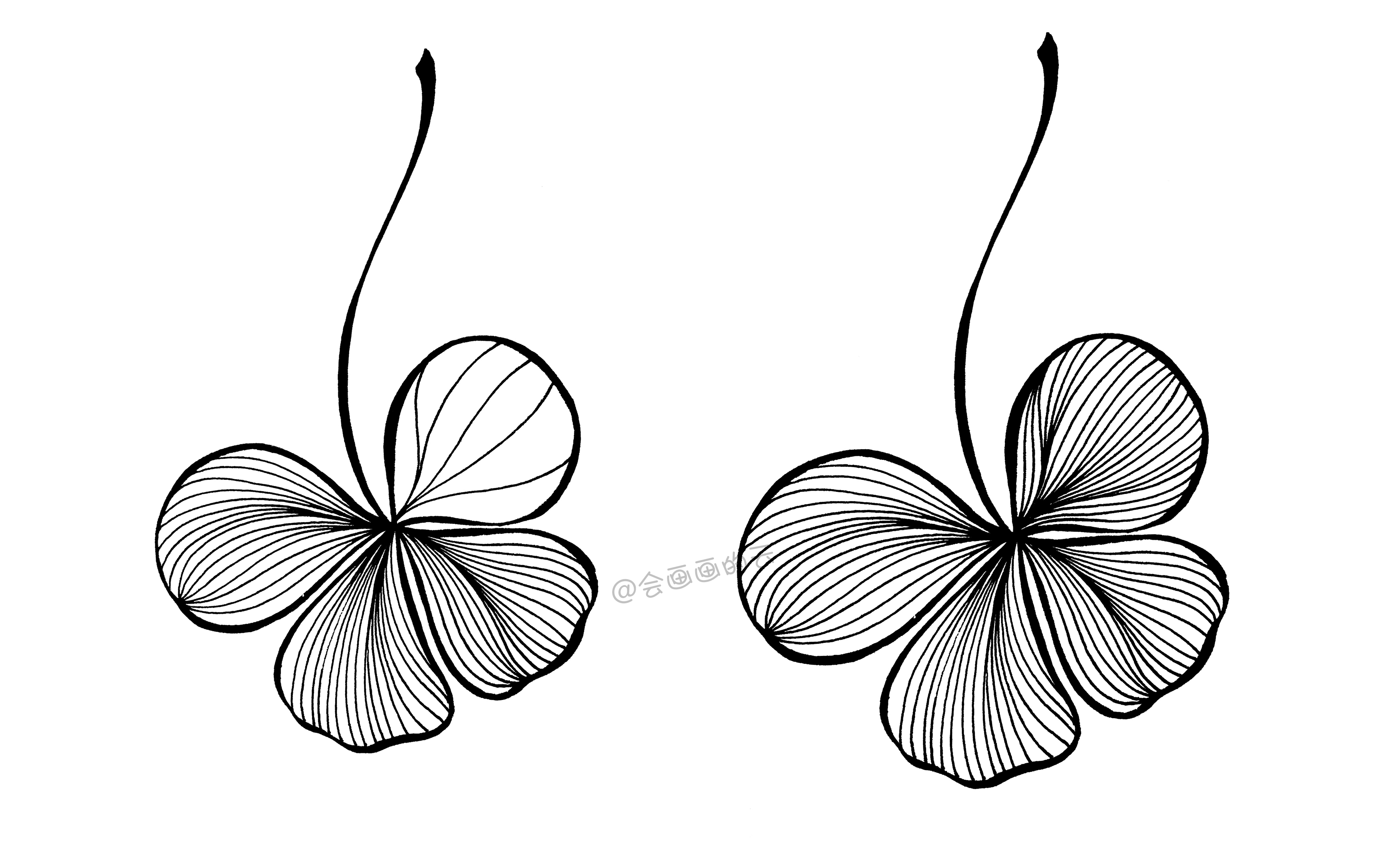 先用画出叶子的形,然后加粗边缘线条;画叶子内部线条的时候注意画的都